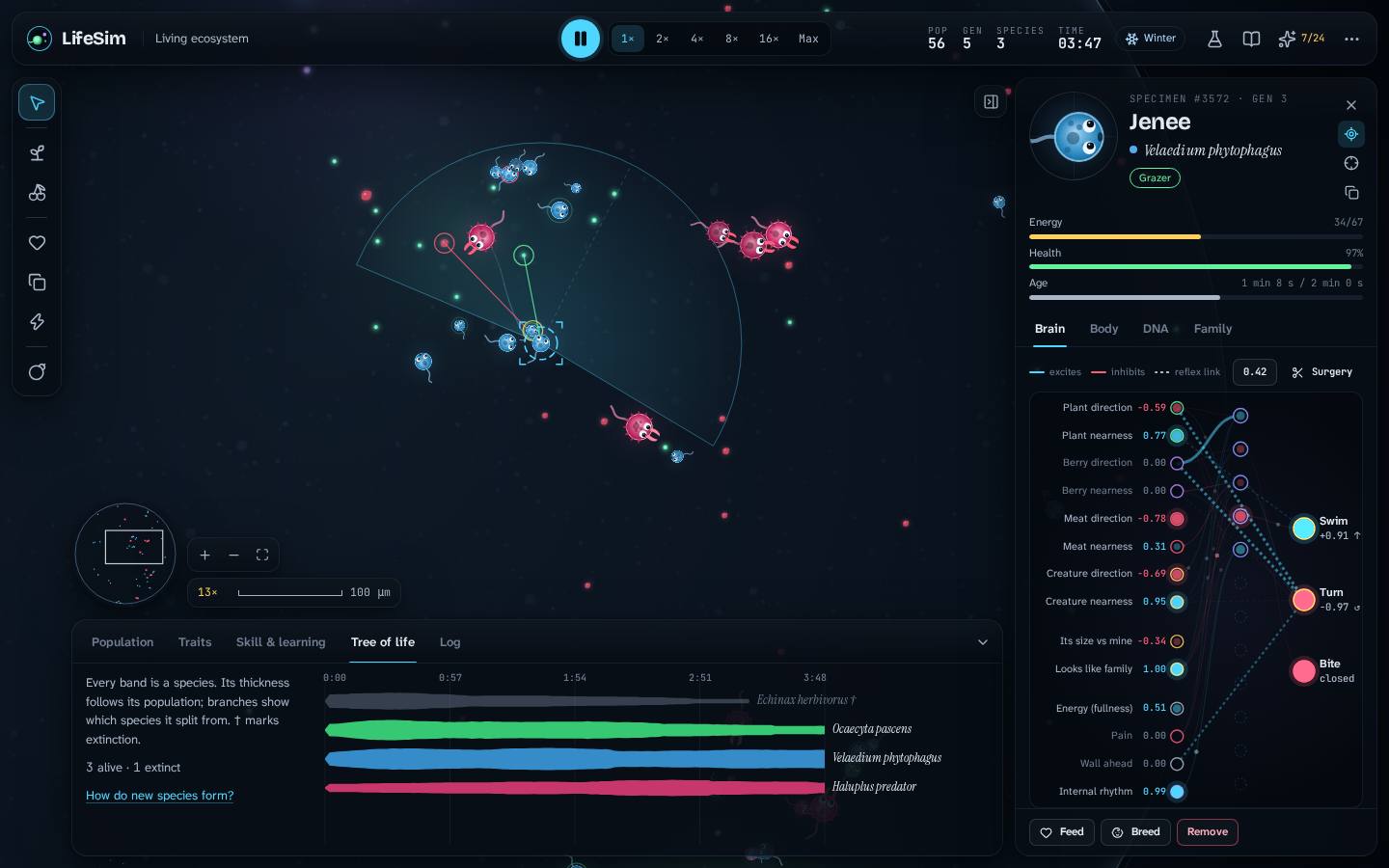 LifeSim creature inspector showing a neural-network brain and an artificial-life ecosystem